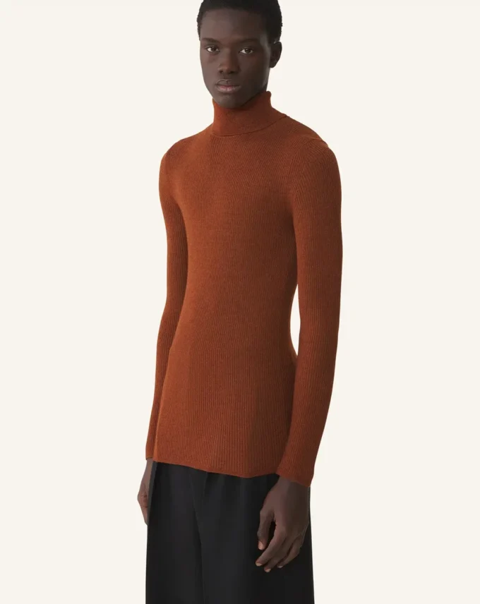 Pull à col roulé en laine mérinos et soie