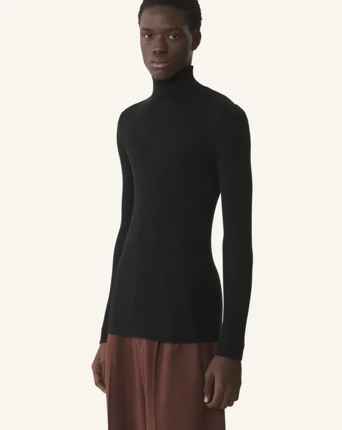 Pull à col roulé en laine mérinos et soie