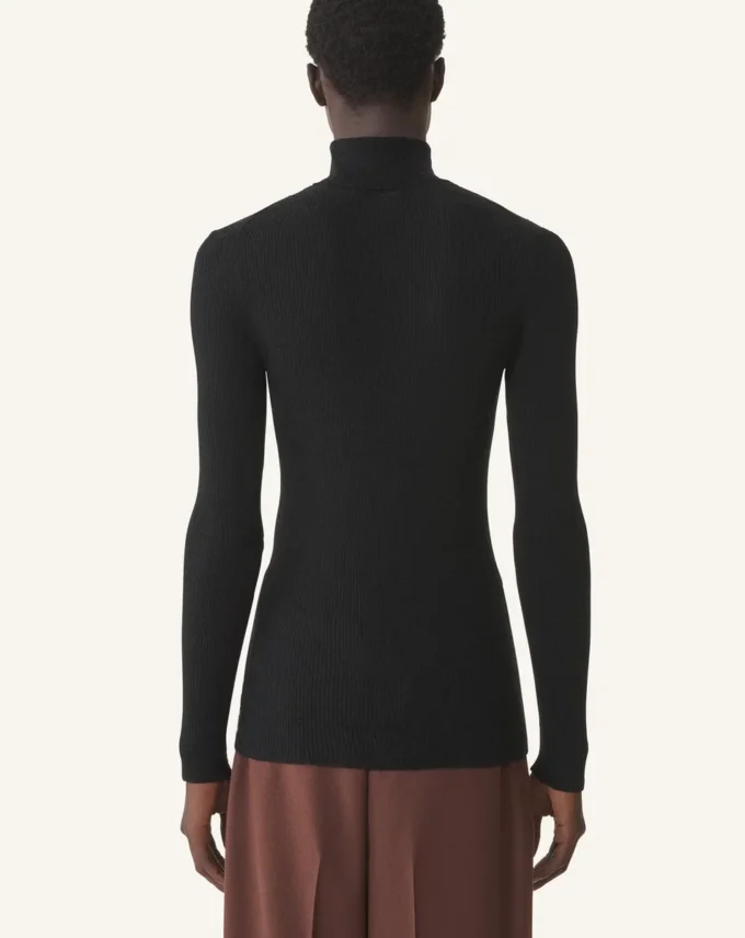 Pull à col roulé en laine mérinos et soie